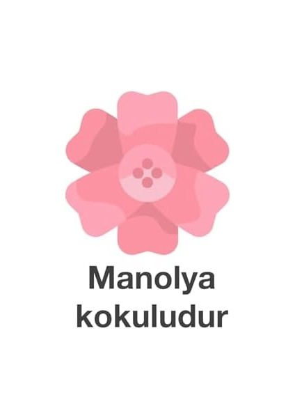 Deep Fresh Maxi Pack Islak Mendil Manolya 144 Yaprak modelleri