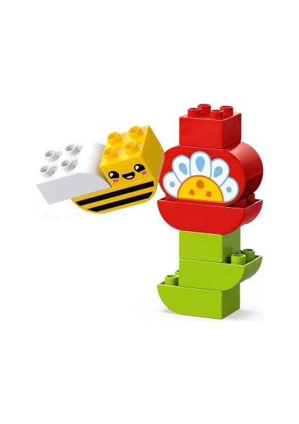 10444 LEGO Duplo Yaratıcı Bahçe ve Çiçekler 45 Parça +2 Yaş modelleri