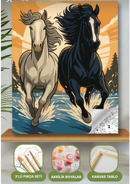 Sayılarla Boyama Seti 40X50 cm (Çıtalı) Fırça Boya Dahil Numaralı Tuval Beyaz ve Siyah At modelleri