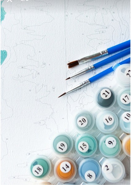 Sayılarla Boyama Seti 40X50 cm (Çıtalı) Fırça Boya Dahil Numaralı Tuval 3 Beyaz Papatya indirimleri