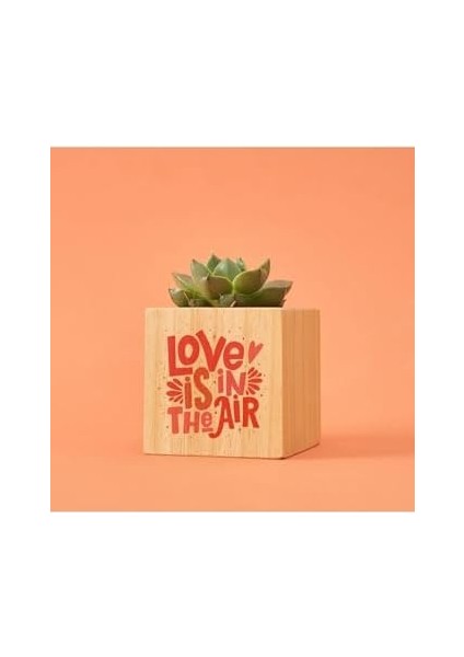 Tasarımlı Aşk Hediye Kutusu modelleri