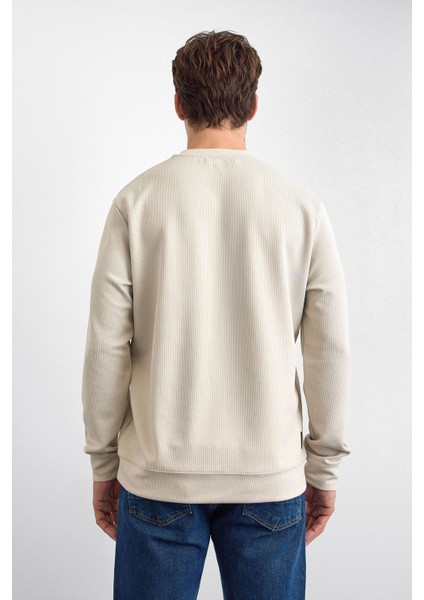 Fitilli Regular Fit Bisiklet Yaka Sweat Erkek Sweat B35W12003 107