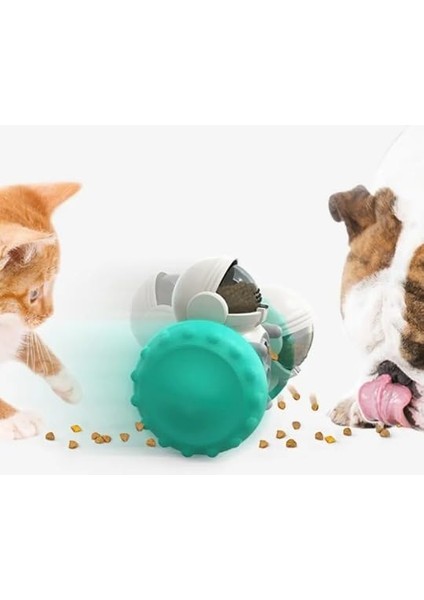 Interaktif Ödül Dağıtım Turkuaz fiyatları