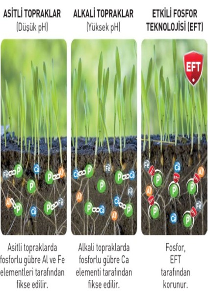 Royal Starter Eft Rıchness 13.18.15+(MGO)+(10SO3) Toprak Altı Taban Gübresi 40KG fiyatları