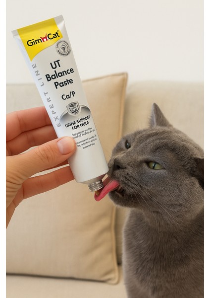 Ut Balance Paste Kedi Macunu (50 Gr) fırsatları