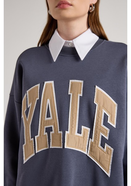 Kadın Füme Nakışlı Şardonlu Oversize Sweatshirt 30080