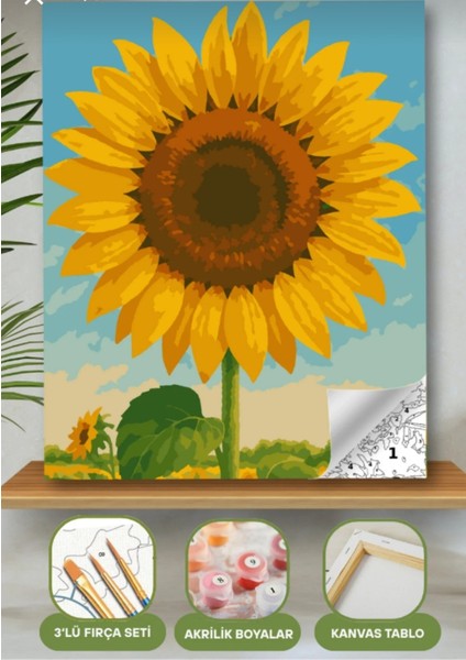 Sayılarla Boyama Seti 40X50 cm (Çıtalı) Fırça Boya Dahil Numaralı Tuval Ay Çiçeği modelleri