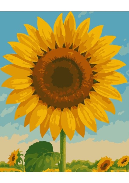 Sayılarla Boyama Seti 40X50 cm (Çıtalı) Fırça Boya Dahil Numaralı Tuval Ay Çiçeği fırsatları