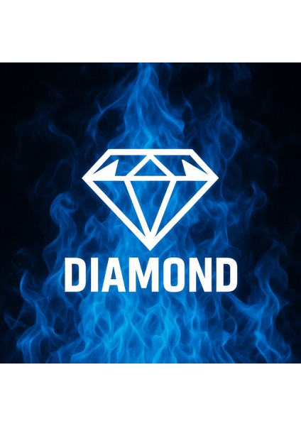 Stella Diamond 6 Parça Boyama Seti (Ekstra Koruma Elmas Kadar Güçlü) fırsatları