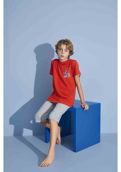 Erkek Çocuk T-Shirt Bermuda Alt Penye Süprem Bisiklet Yaka Orta Kalın Pijama TAKIMI-3930 fiyatları