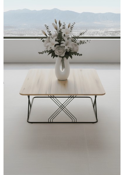 Dilsa Metal Ayak Kare Ahşap Hasır Orta Sehpa & Zigon Sehpa fiyatları