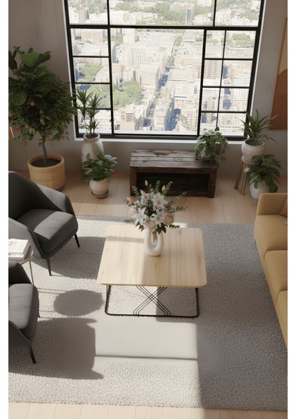 Dilsa Metal Ayak Kare Ahşap Hasır Orta Sehpa & Zigon Sehpa modelleri