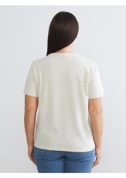 Büyük Beden Bisiklet Yaka Kadın Tişört 2'li