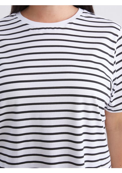 Büyük Beden Çizgili Kadın Tişört 2'li