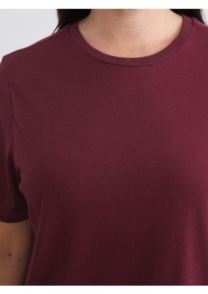 Büyük Beden Çizgili Kadın Tişört 2'li