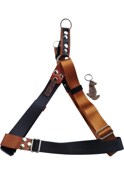 Köpek Göğüs Tasması Orta ve Büyük Irk Ayarlamalı Kolon Kordon Siyah ve Bakır fiyatları