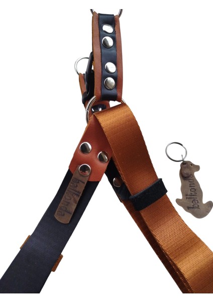 Köpek Göğüs Tasması Orta ve Büyük Irk Ayarlamalı Kolon Kordon Siyah ve Bakır modelleri