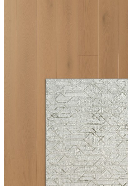 Çınar Sena Bej Krem Modern Salon ve Oturma Odası Halısı modelleri