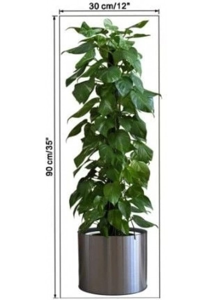 Saksılı Bitki Tasarımlı Yapışkanlı Sticker Resim 90*30 cm MC-665 modelleri