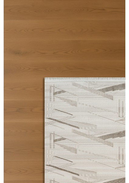 Estefan Nira Bej Kahverengi Modern Salon ve Oturma Odası Halısı modelleri