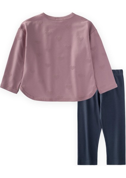 Uzun Kollu T-Shırt Takım 1-7 Yaş Leylak fiyatları
