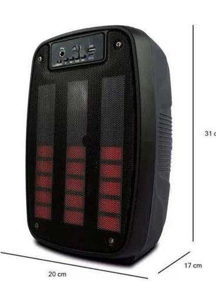 Bfs Taşınabilir 6.5 Inç LED Bluetooth Kareoke Hoparlör Rgb Işıklı Radyolu indirimleri