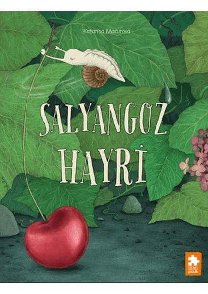Salyangoz Hayri