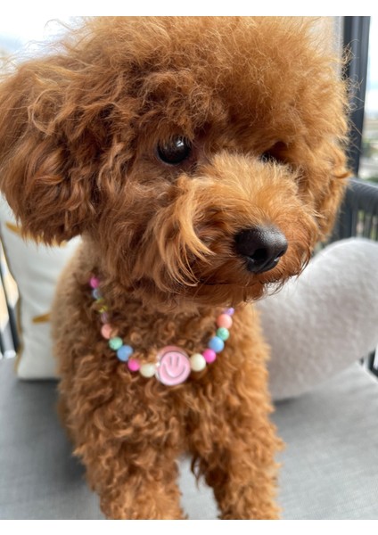 Smiley Temalı Sevimli Köpek Kolyesi/tasması fırsatları