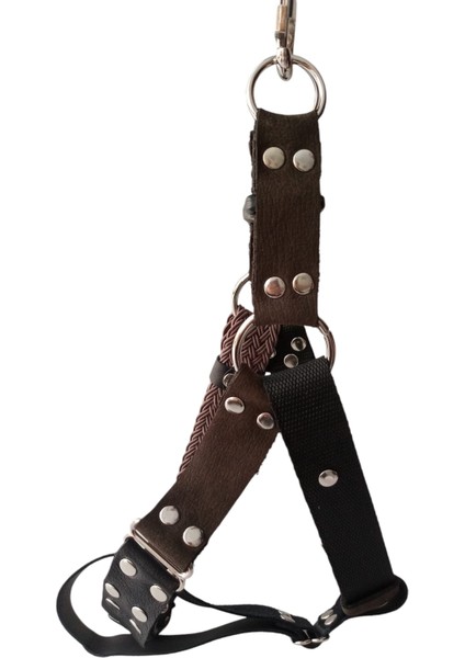 Köpek Göğüs Tasması Orta ve Büyük Irk Ayarlamalı Kolon Kordon ve Nubuk Deri Siyah ve Vizon fırsatları