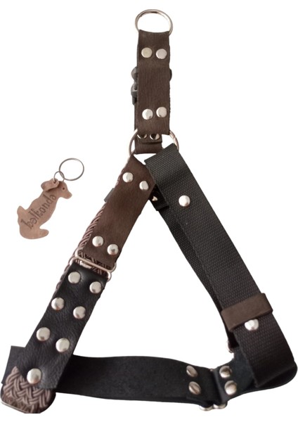 Köpek Göğüs Tasması Orta ve Büyük Irk Ayarlamalı Kolon Kordon ve Nubuk Deri Siyah ve Vizon