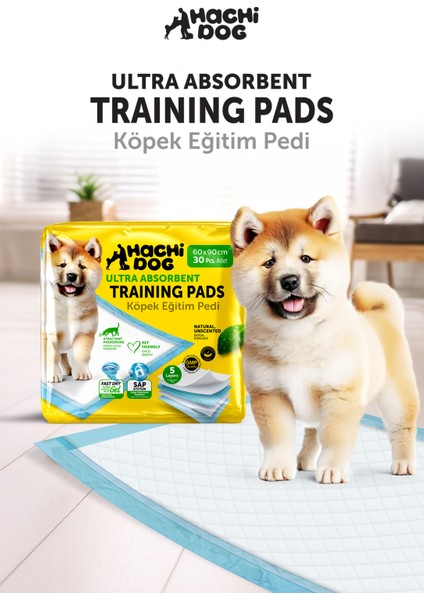 Köpek Eğitim Pedi 60X90 5 Katmanlı 180 Adet modelleri