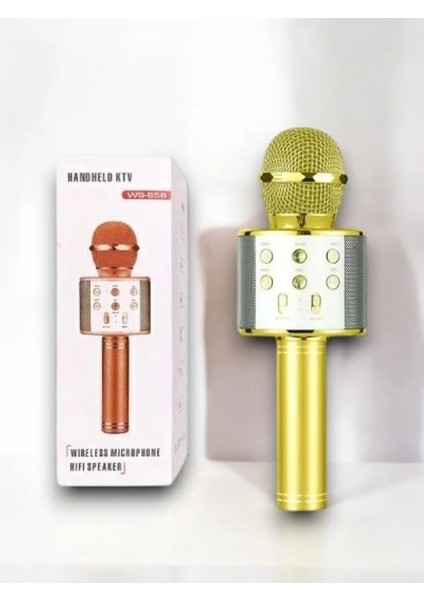 Bfs Kareoke Mıkrofon