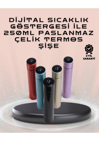 Bfs 250ML LED Ekranlı Paslanmaz Çelik Akıllı Termos