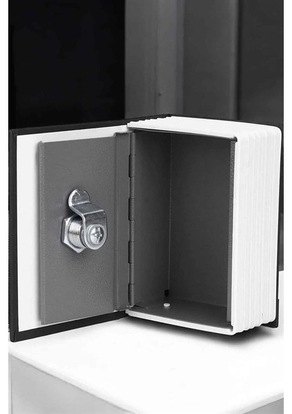 Bfs Gizli Kasa Kitap Görünümlü Anahtarlı Çelik Mini Kasa