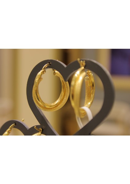 14 Ayar Altın 4,06 gr Sarmal Halka Küpe fiyatları