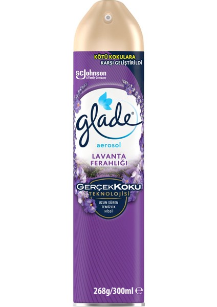 Aerosol Oda Kokusu Lavanta Ferahlığı 300ML 3 Adet