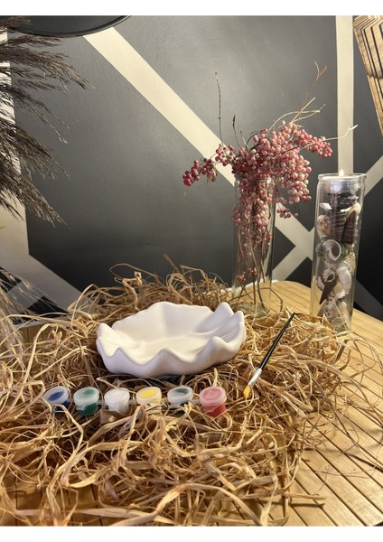 Istiridye Boyama Seti Taş Boyama Seti fırsatları