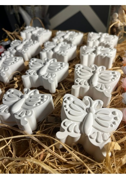 12 Adet Kelebek Taş Boyama Seti Etkinlikler Çocuk Gelişimi El Becerisi Gelişimi Figür Boyama Seti modelleri