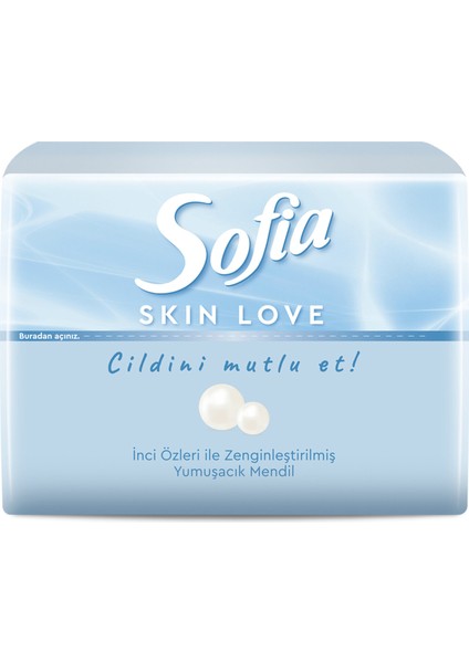 Skin Love Mini Mendil 75'li 4 Adet