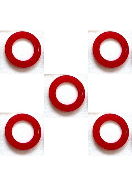 Keçe Figür, Dahiler Sınıfı Vesikalık Çerçeve 13 cm 5 Adet