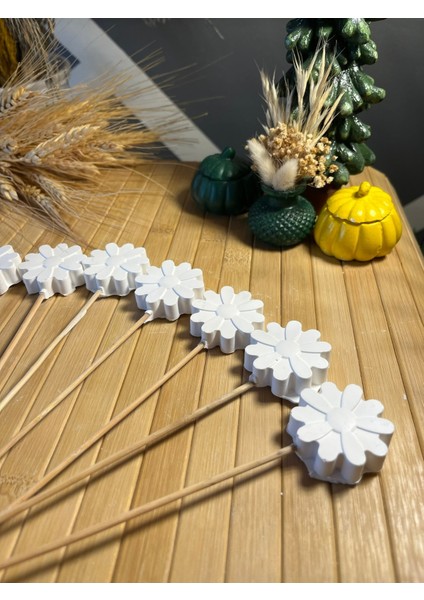 10 Adet Çiçek Taş Boyama Seti Anne ve Çocuk Etkinliği Taş Boyama Saksı Süsleme Çiçek Süsleme fiyatları