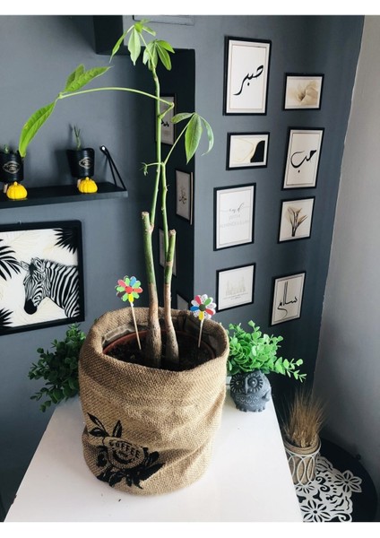 10 Adet Çiçek Taş Boyama Seti Anne ve Çocuk Etkinliği Taş Boyama Saksı Süsleme Çiçek Süsleme indirimleri