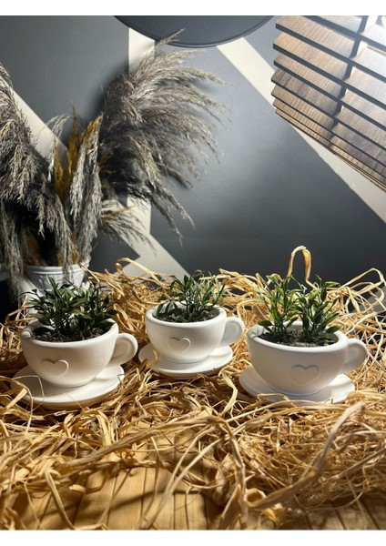 Fincan Taş Boyama Seti Okul Veya Anne Çocuk Etkinliği Boyama Seti Tasarım Boyama fiyatları