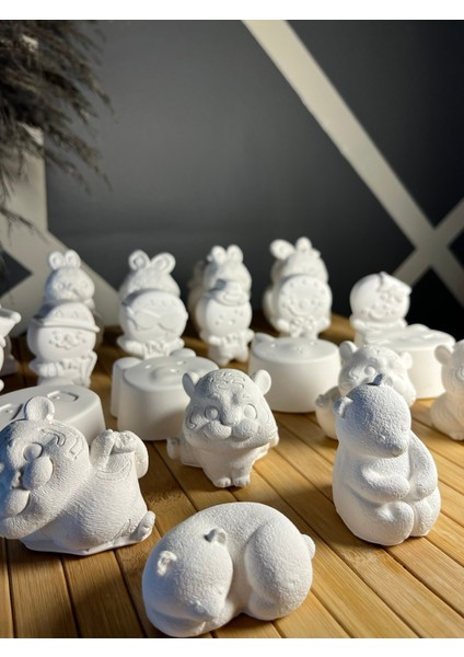 22 Adet Xxl Kurabiye Adam ve Hayvanlar Taş Boyama Çocuk Gelişimi Taş Boyama Seti Etkinlik modelleri