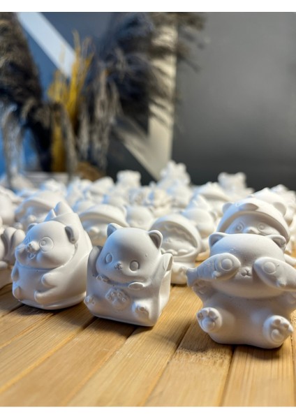 25 Adet Sürpriz Figürler Taş Boyama Çocuk Gelişimi The Surprise Taş Boyama Seti Etkinlik Hediyelik fiyatları