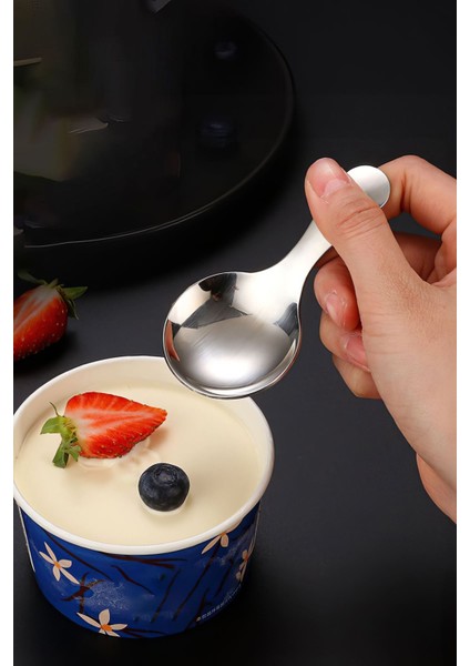 304 Çelik Mini 9 cm Tatlı Dondurma Muhallebi Baharat Kaşığı CIN752BYX modelleri