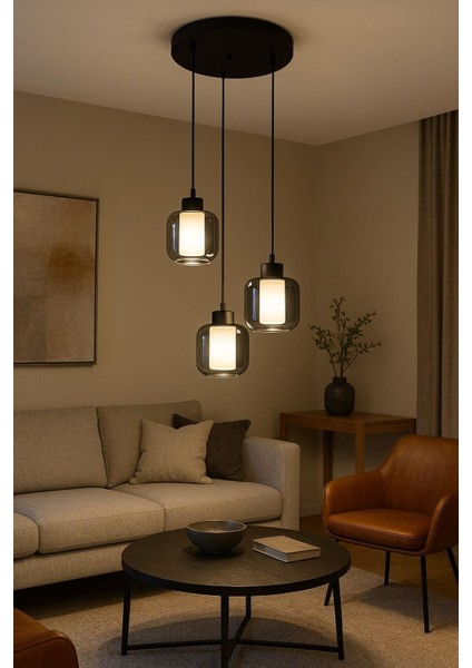 Feruce Çift Cam Zh7 Füme 3lü