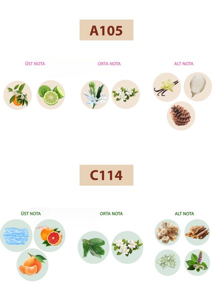 BACERA PERFUME Bacera A105 Floral Kadın Parfüm 50ML Edp C114 Fresh Erkek Parfüm 50ML Edp fiyatları