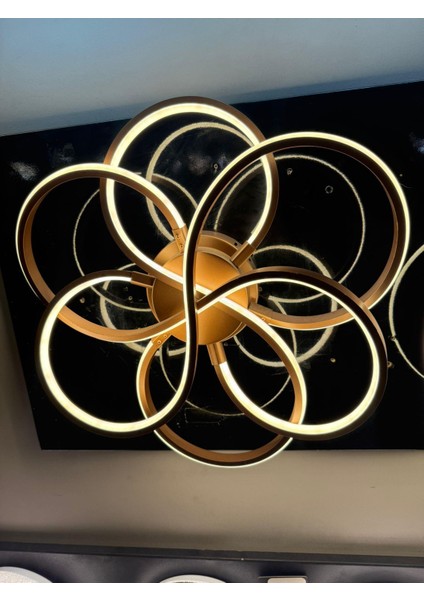 Ferluce Plof Donence Buyuk -