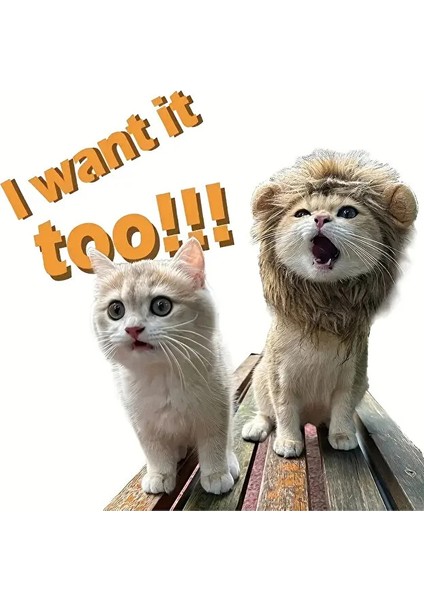 Aslan Yelesi Kedi Kostümü modelleri